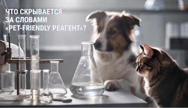 Что на самом деле скрывается за словами «pet-friendly реагент» Что на самом деле скрывается за словами «pet-friendly реагент»